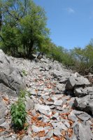 Lapar: HEko bizkarreko bidea