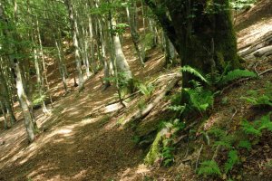 GR bidea pagadian barrena, hegoaldeko isurialdean