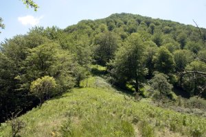 Iparraldeko hegitik ikusita