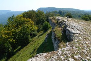 Tontorra mendebaldetik
