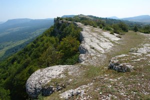 Mendebaldeko gandorra