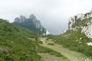 Toro mendateko hegoaldeko igoeratik ikusita