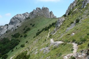 Larrasako bidetik ikusita