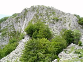 Kargaleku aldera erakusten dituen hormak