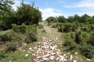 Azken metroak mendebaldetik