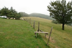 Tontorraren inguruak