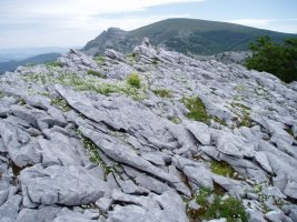 Kutxak tontorra; atzean Gorbeia eta Aldamin