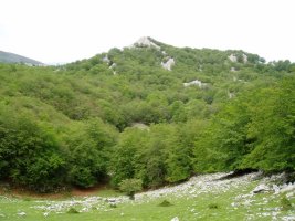 Kargalekutik ikusita