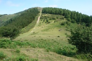 Samiño Pagola aldetik ikusita