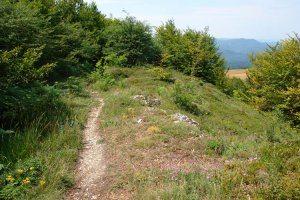 Mendebaldetik datorren bidea