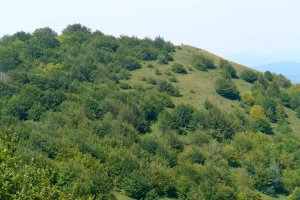 Santa Elena ekialdeko hurrengo muinotik