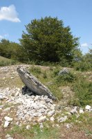 Trikuharria San Juan mendatetik gertu