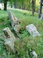 Intsusburuko trikuharria