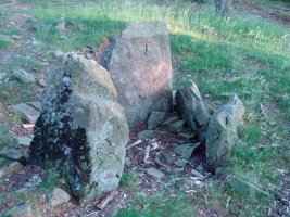 Bernoako trikuharria