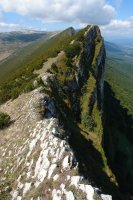 Ekialdeko gandorra (VIII)