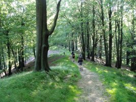 Irumugarrieta eta Txaradigorri areko bidea