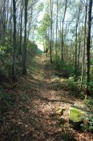 Iparraldeko igoerako bidea