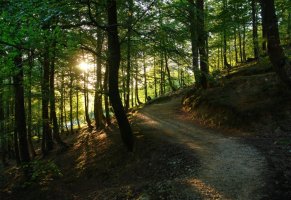 Egunsentia San Adriango abiapuntuan