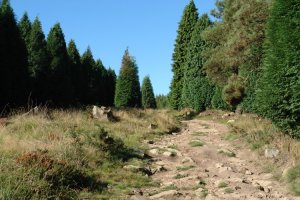 Ekialdeko bizkarreko bidea