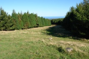 Iparraldeko suebakia