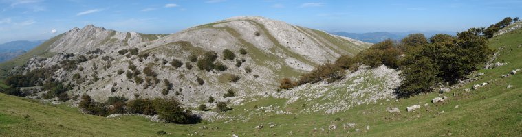 Hegoekialdetik ikusita