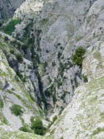 Arroilaren behealdeko ikuspegia