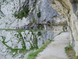 Toki askotan bidea haitzean egina dago