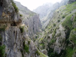 Arroilaren behealdeko ikuspegia