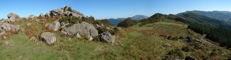 Tontorra eta ekialdeko bizkarra