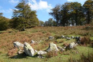 Cromlecha, hegoaldeko bizkarrean