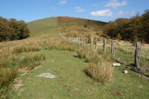 Tontorra hegoaldetik