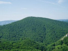 Iparraldetik ikusita