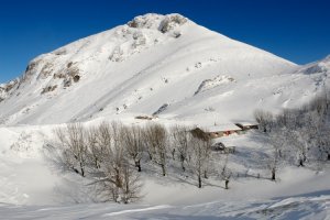 Txindoki ohiko igoeratik