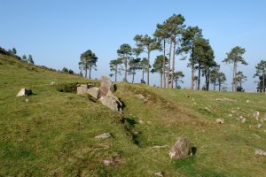 Pozontarri zista, Bisisarobe lepoan