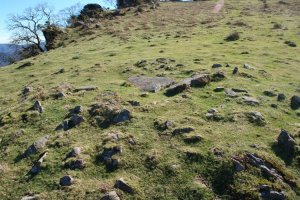 Aballarriko trikuharria