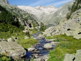 Colieto bailaratik ikusita