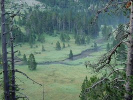 Pletiu dera Montanheta