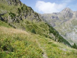 Tormosako erlaitzeko bidea