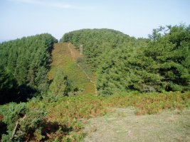 Pertxele aldetik ikusita