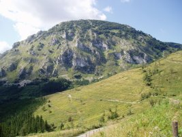 Landaederratik ikusita