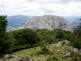 Artatxaganetik ikusita