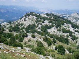 Leunganaren maldetatik ikusita