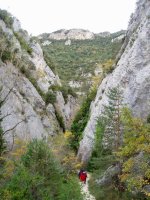 Puron errekaren arroila