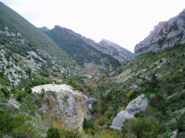 Arroilaren erdialdeko bailara