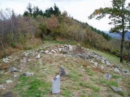 Belkoaineko trikuharria