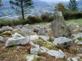 Belkoaineko trikuharria