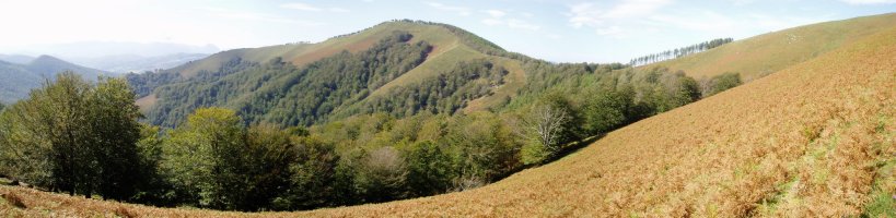 Urepel aldetik ikusita