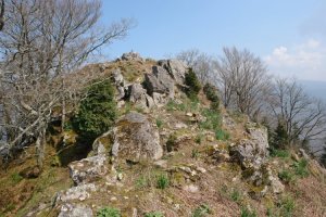 Tontorra hegoaldetik