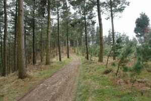 Urnobieta eta Azkarate arteko bidea