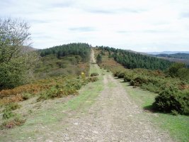 Mendebaldetik ikusita, Troke aldetik